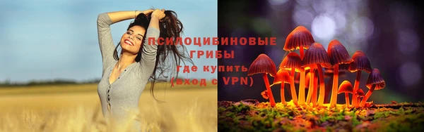 Альфа ПВП Новодвинск