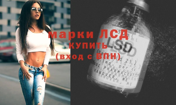 Альфа ПВП Новодвинск