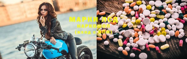 Альфа ПВП Новодвинск