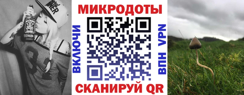 магазин  наркотиков  Саратов  Псилоцибиновые грибы Psilocybine cubensis 