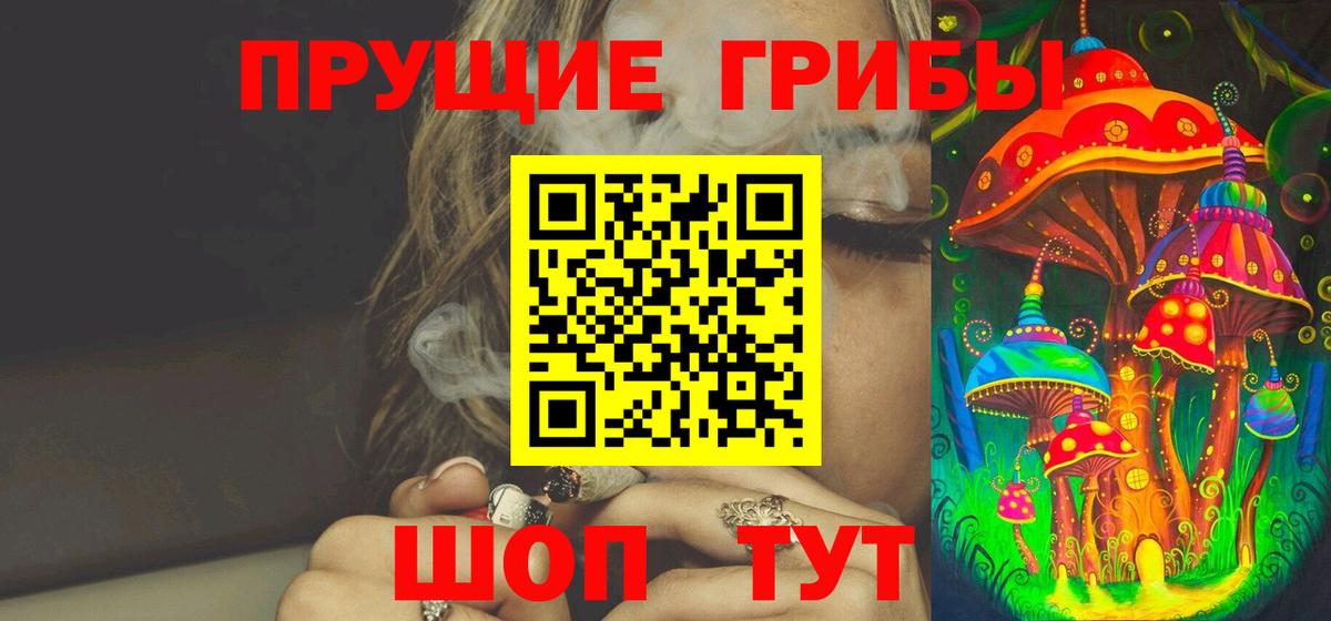 Саратов  Псилоцибиновые грибы MAGIC MUSHROOMS  Вход с VPN 