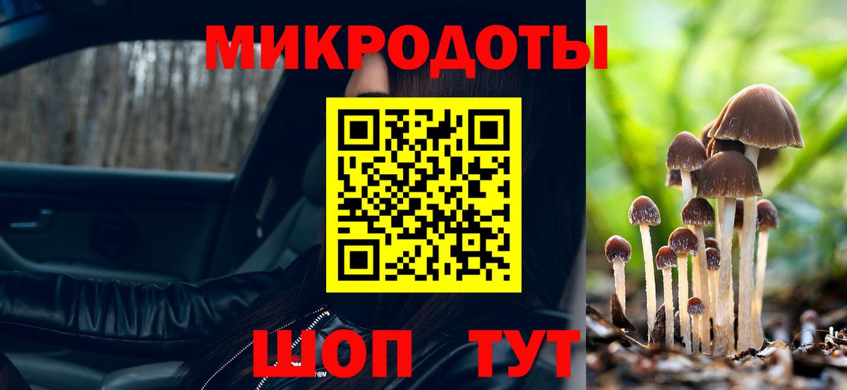 Псилоцибиновые грибы GOLDEN TEACHER Саратов